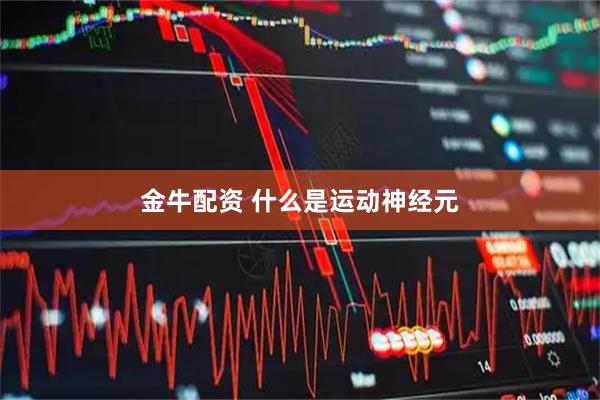 金牛配资 什么是运动神经元
